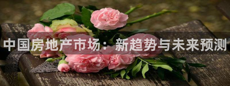 天狮娱乐39869股东：中国房地产市场：新趋势与未来预测