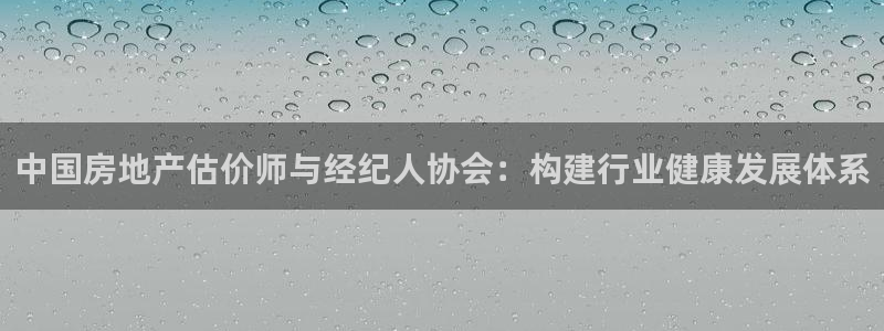 天狮娱乐1990注册：中国房地产估价师与经纪人协会：构建行业