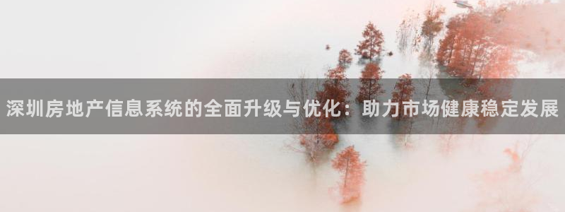 天狮娱乐负：深圳房地产信息系统的全面升级与优化：助力市场健康