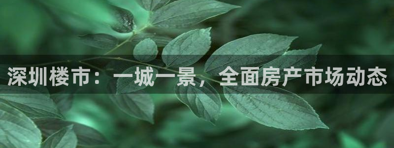 天狮娱乐 来q.395-867：深圳楼市：一城一景，全面房产