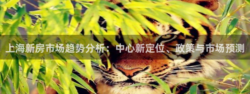 https 天狮娱乐：上海新房市场趋势分析：中心新定位、政策