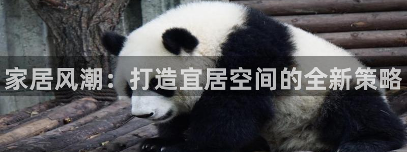天狮娱乐 148-27：家居风潮：打造宜居空间的全新策略