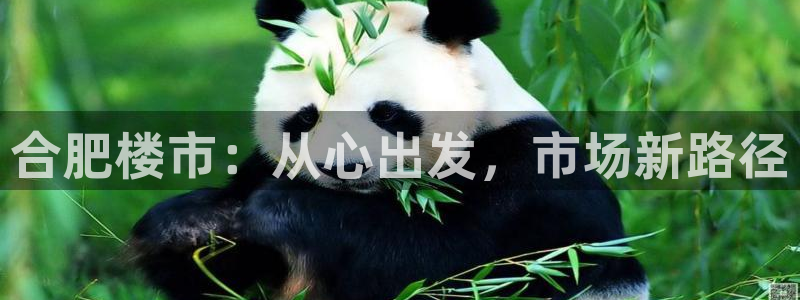 天狮娱乐 官方注册主管：合肥楼市：从心出发，市场新路径