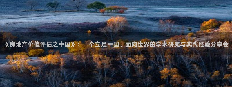 天狮娱乐 a主管60447：《房地产价值评估之中国》：一个立