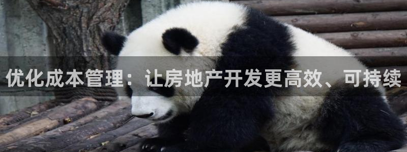 楚雄天狮国际娱乐会所：优化成本管理：让房地产开发更高效、可持