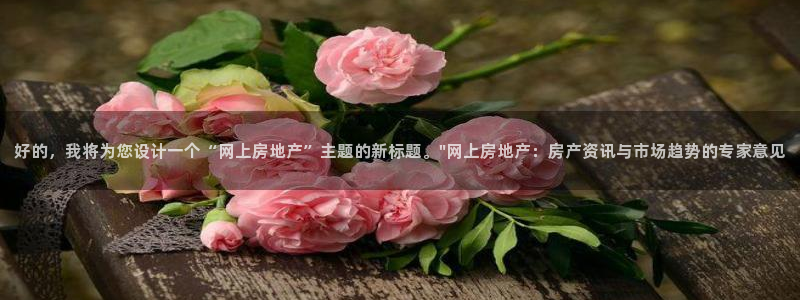 天狮娱乐是什么：好的，我将为您设计一个“网上房地产”主题的新