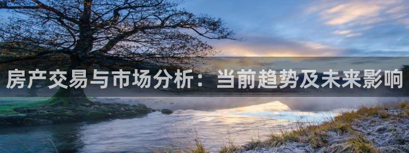 天狮娱乐行：房产交易与市场分析：当前趋势及未来影响