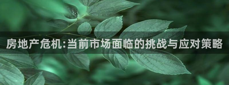 天狮会娱乐会所：房地产危机:当前市场面临的挑战与应对策略
