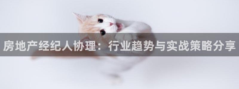 天狮娱乐注册官方网站：房地产经纪人协理：行业趋势与实战策略分