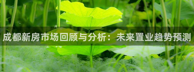 天狮娱乐谁在玩：成都新房市场回顾与分析：未来置业趋势预测
