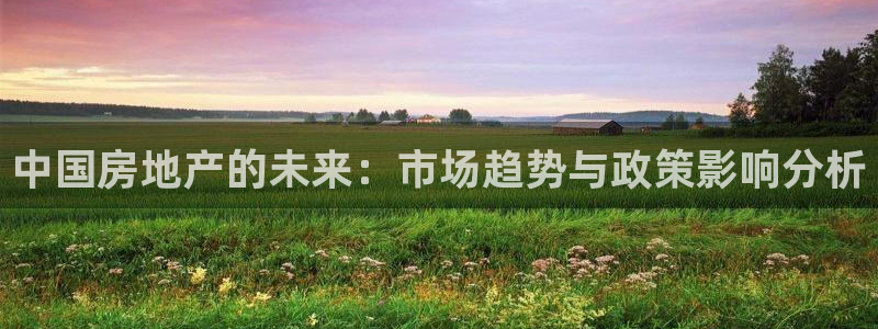 天狮娱乐怎么充钱：中国房地产的未来：市场趋势与政策影响分析