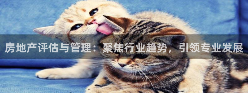 天狮娱乐 卧j招商60447：房地产评估与管理：聚焦行业趋势