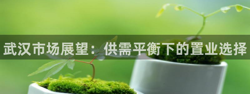 有玩天狮娱乐：武汉市场展望：供需平衡下的置业选择