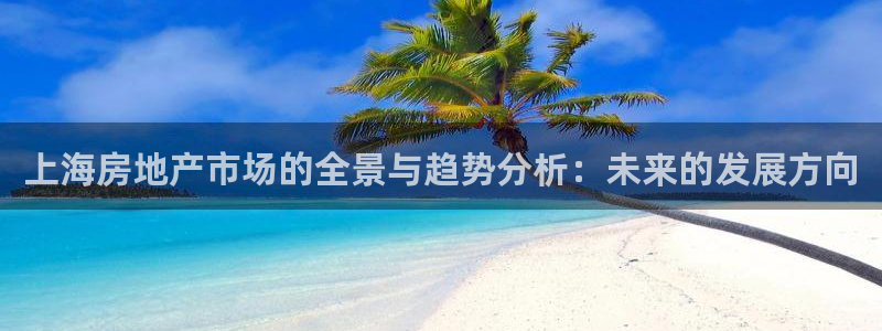 天狮娱乐方：上海房地产市场的全景与趋势分析：未来的发展方向