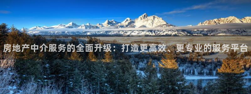 天狮娱乐招商：房地产中介服务的全面升级：打造更高效、更专业的