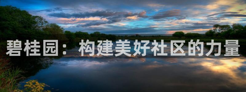 天狮学院娱乐设施有哪些：碧桂园：构建美好社区的力量
