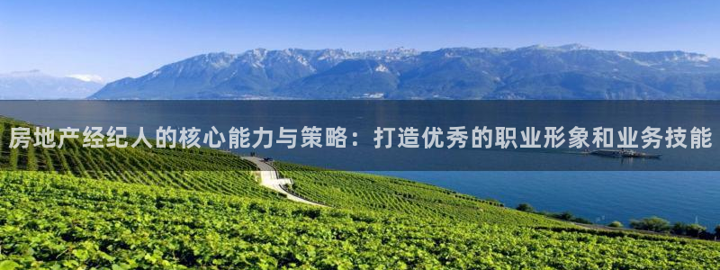 天狮娱乐平台注册官网：房地产经纪人的核心能力与策略：打造优秀