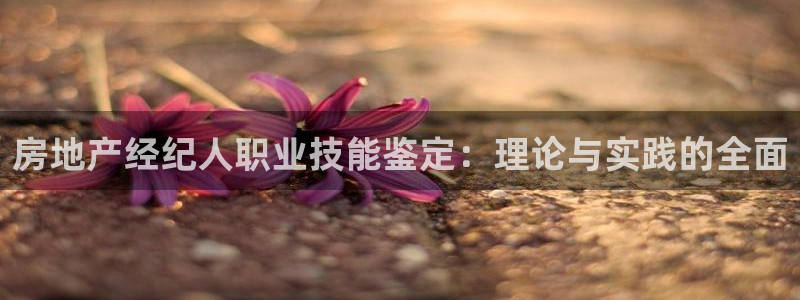 天狮娱乐返点：房地产经纪人职业技能鉴定：理论与实践的全面