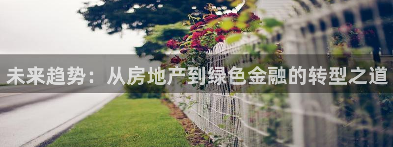 天狮娱乐i 判官：未来趋势：从房地产到绿色金融的转型之道