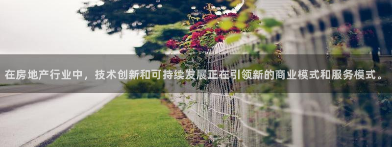 天狮娱乐股东Q 882092：在房地产行业中，技术创新和可持