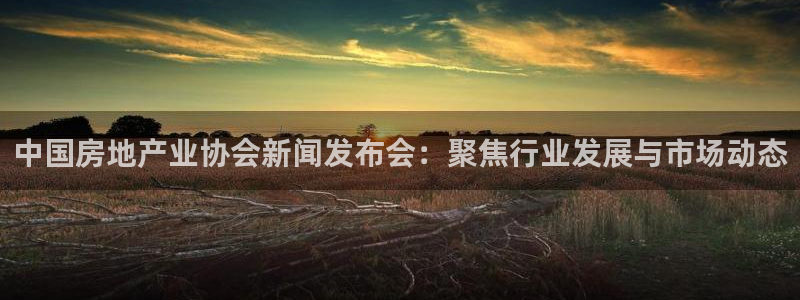 天狮娱乐可以赚钱吗：中国房地产业协会新闻发布会：聚焦行业发展