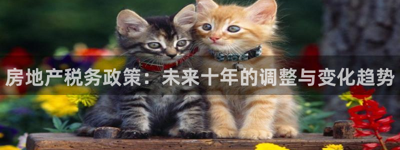 天狮学院娱乐设施：房地产税务政策：未来十年的调整与变化趋势