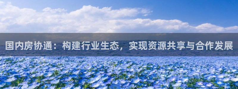天狮娱乐谁在玩：国内房协通：构建行业生态，实现资源共享与合作