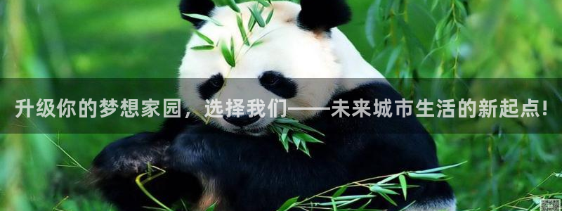 天狮娱乐鱼刺A软件：升级你的梦想家园，选择我们——未来城市生