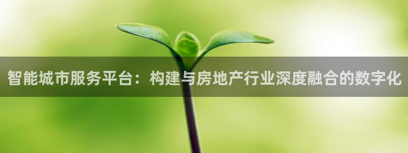 天狮娱乐非法吗：智能城市服务平台：构建与房地产行业深度融合的