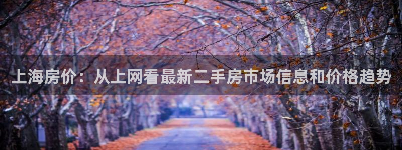 天狮娱乐股东代理：上海房价：从上网看最新二手房市场信息和价格