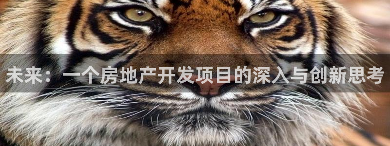天狮娱乐成立：未来：一个房地产开发项目的深入与创新思考