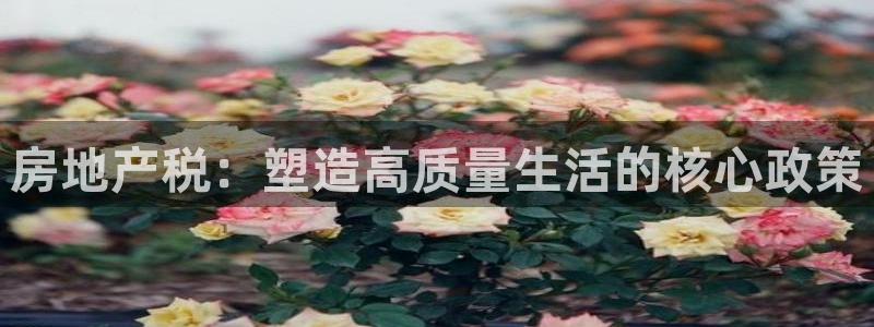 天狮娱乐是什么：房地产税：塑造高质量生活的核心政策
