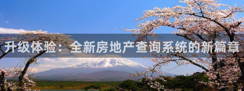 天狮娱乐扣扣29229：升级体验：全新房地产查询系统的新篇章