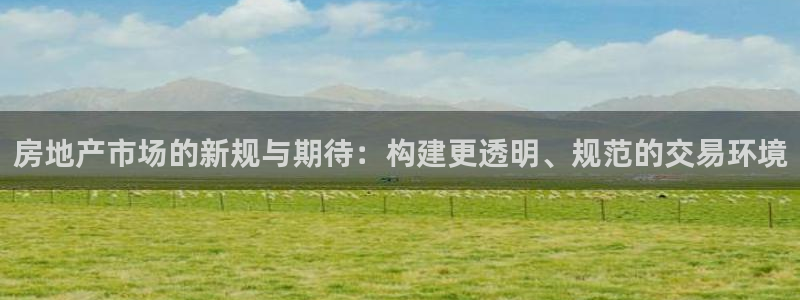 天狮娱乐招商80326：房地产市场的新规与期待：构建更透明、