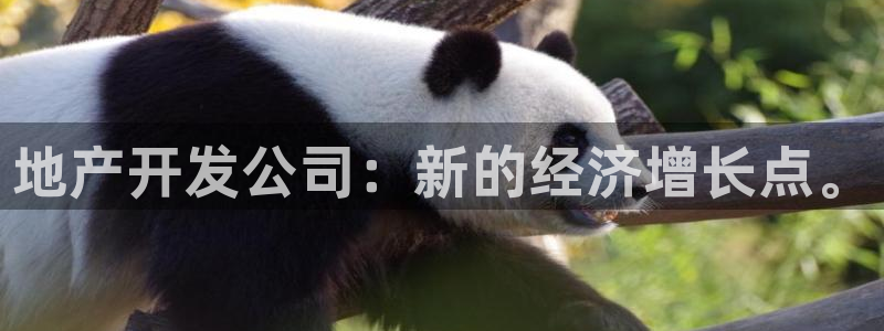 天狮娱乐如何注册代理：地产开发公司：新的经济增长点。