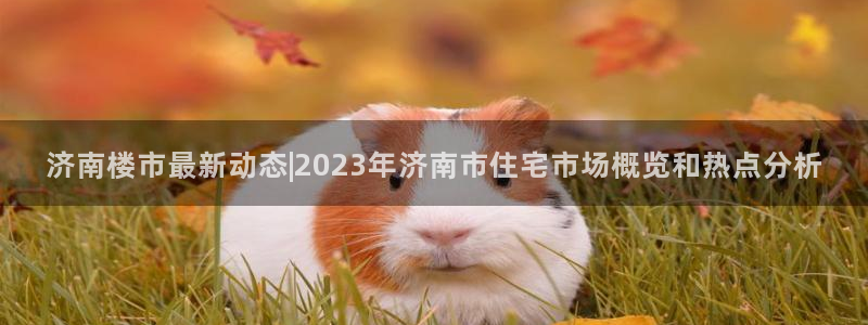 天狮娱乐b OO判官：济南楼市最新动态|2023年济南市住宅
