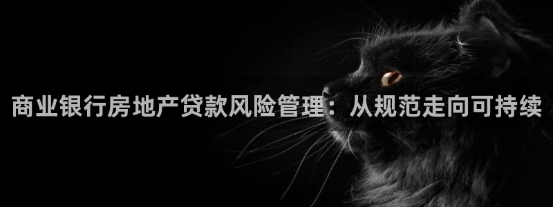 彩票天狮娱乐：商业银行房地产贷款风险管理：从规范走向可持续