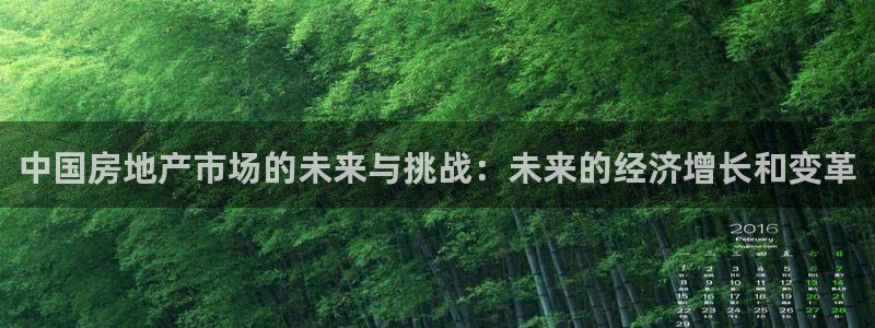 天狮娱乐分分彩平台：中国房地产市场的未来与挑战：未来的经济增