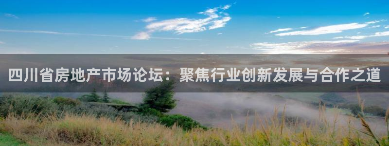 天狮娱乐招：四川省房地产市场论坛：聚焦行业创新发展与合作之道