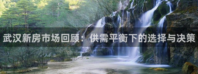 天狮娱乐返点：武汉新房市场回顾：供需平衡下的选择与决策
