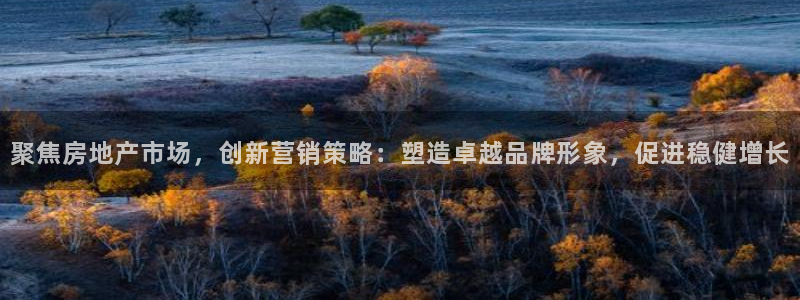 天狮娱乐-欢迎您：聚焦房地产市场，创新营销策略：塑造卓越品牌