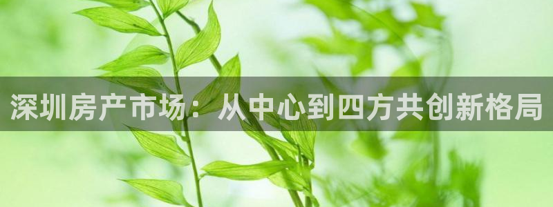 天狮娱乐61116：深圳房产市场：从中心到四方共创新格局