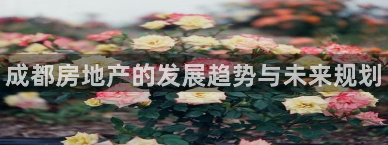天狮娱乐手机：成都房地产的发展趋势与未来规划