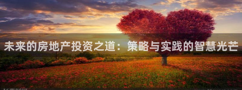 天狮娱乐彩票玩法：未来的房地产投资之道：策略与实践的智慧光芒