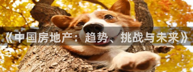 天狮国际娱乐：《中国房地产：趋势、挑战与未来》