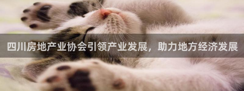 天狮娱乐真的：四川房地产业协会引领产业发展，助力地方经济发展