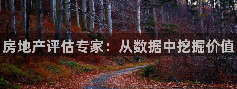 天狮娱乐扣72226：房地产评估专家：从数据中挖掘价值