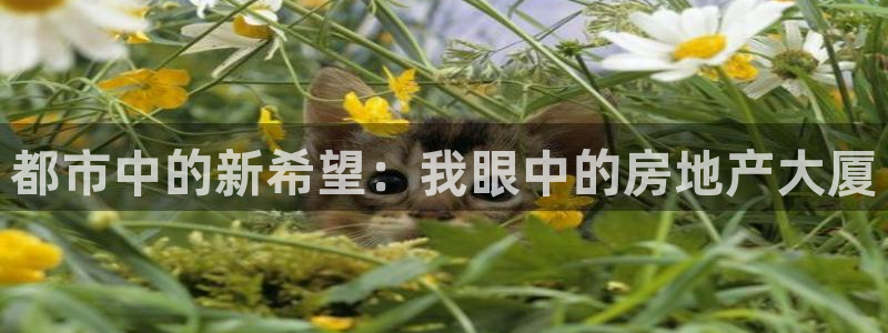 天狮娱乐卧J招商60447：都市中的新希望：我眼中的房地产大