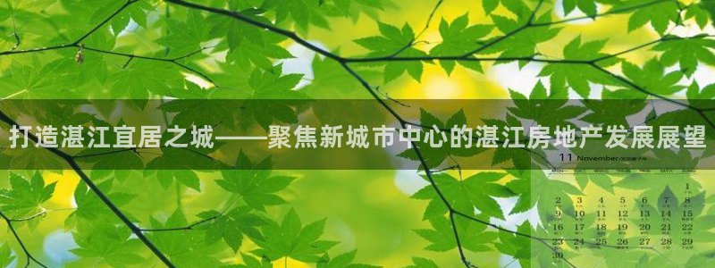 天狮娱乐彩票客服电话：打造湛江宜居之城——聚焦新城市中心的湛