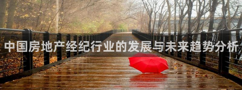 天狮娱乐网站：中国房地产经纪行业的发展与未来趋势分析
